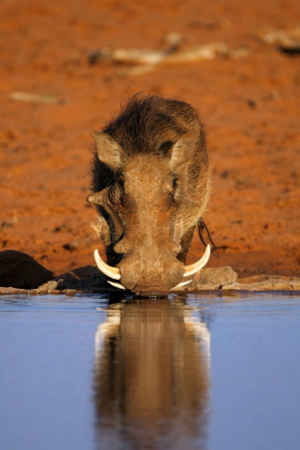 tumblr_fbd83de20550e5266c395f770e91f6c8_97d00753_540