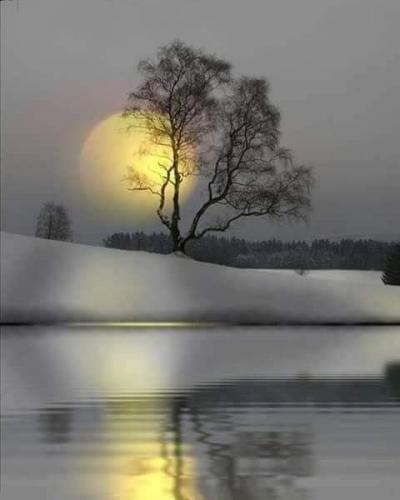 240720976_398701308300215_4471611152640631283_n