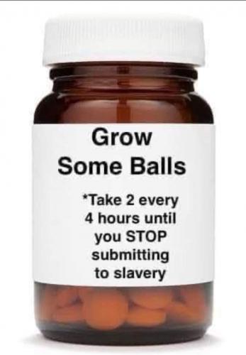 FB_IMG_1629439478316