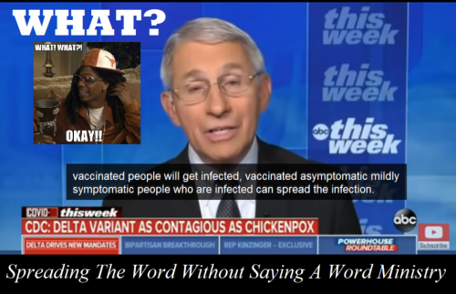 232180315_3096653887126097_6631924060820073791_n