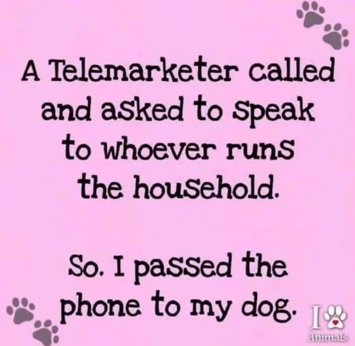 236353884_248496793775484_7411538186842747509_n