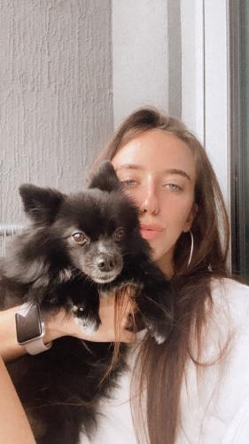 23:19:49 GMT-0400 (EDT)