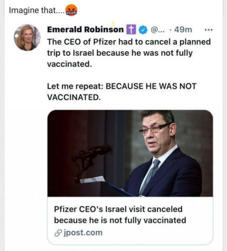 232517500_10226372398245371_6276260950902589093_n