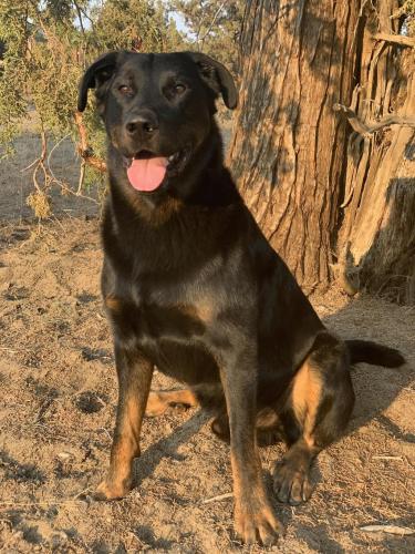 20:57:06 GMT-0700 (PDT).image