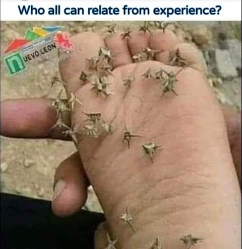 FB_IMG_1628735875413