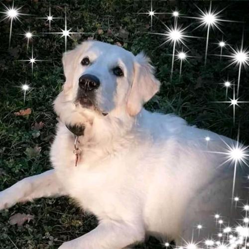 18:49:44 GMT+0100 (WAT)