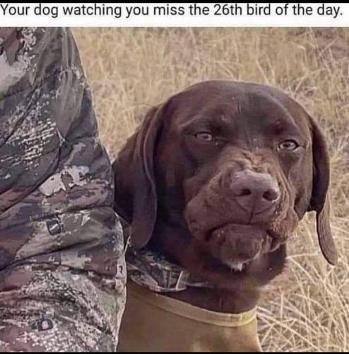 FB_IMG_1628836380156