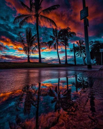 Tropical Sunset