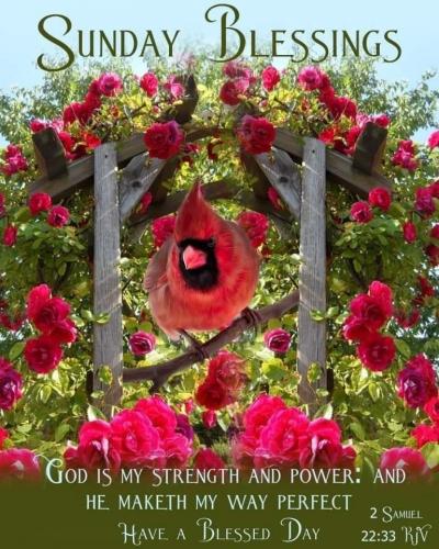 4F9B5C18-6CE6-4CE5-A82C-6390C07B0260-358-0000003C5813D7AE