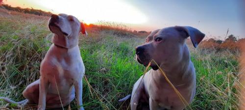 IMG_20210724_175215_096