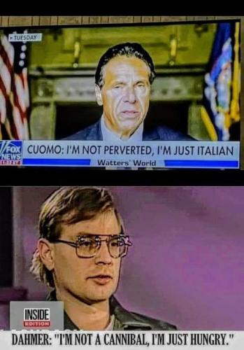 cuomo dhamer