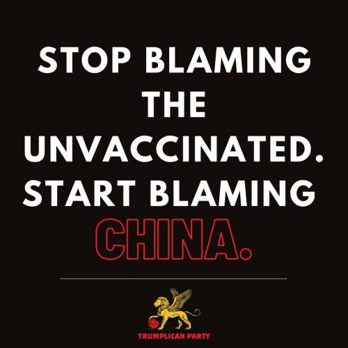 224196215_3010956832561054_5415863419545342481_n