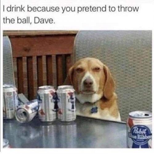 FB_IMG_1548669998595