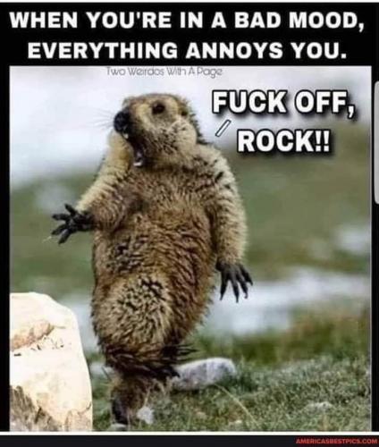 23:56:59 GMT-0500 (CDT)