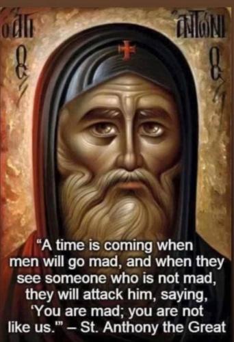 photo_2021-08-15_10-26-53