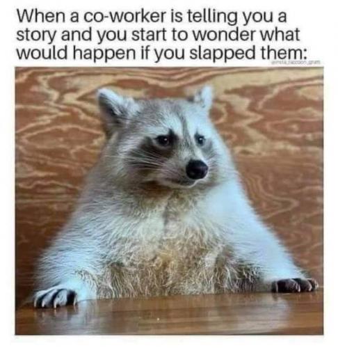 tumblr_2ad70b61502cc99a47f78b6874ac960b_3cf851b6_540