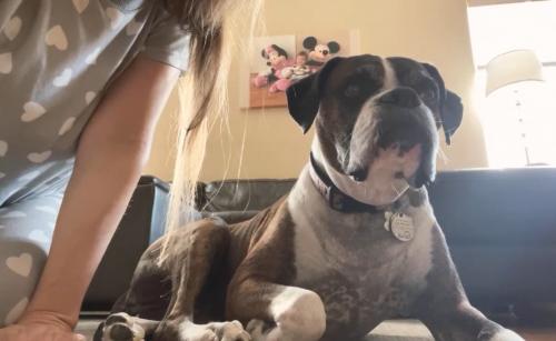 A801A6CA-FB29-4548-84FC-146B35C394F5