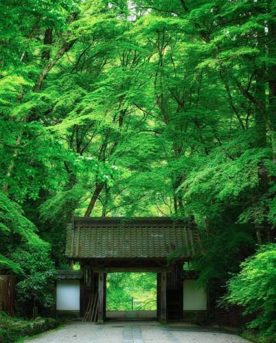 228382266_367512878078054_8704896751709139331_n