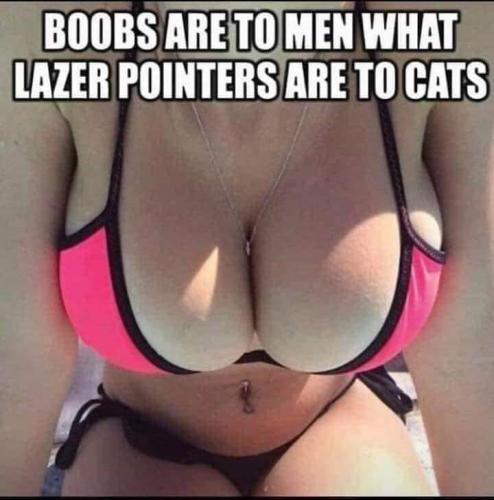 17:19:50 GMT-0700 (PDT)