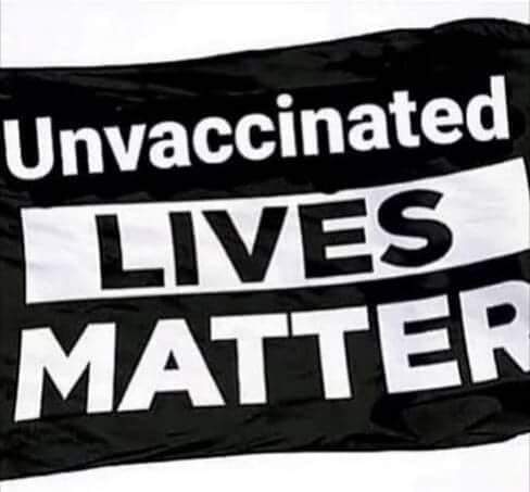 FB_IMG_1628245726833