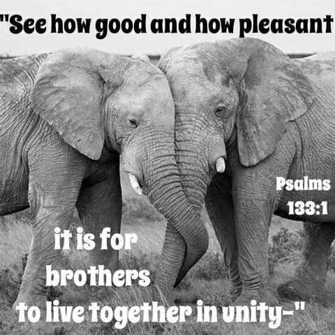 FB_IMG_1611128191918