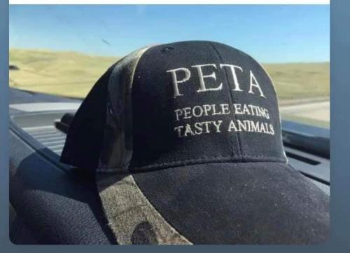 FB_IMG_1630440407749