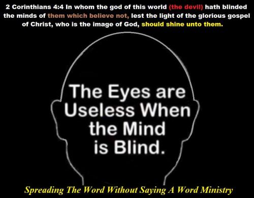 67573713_2290984974333954_753597044815298560_n