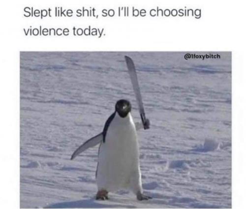 FB_IMG_1628985847199