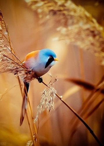 237431043_393248128845533_8256422525197267112_n