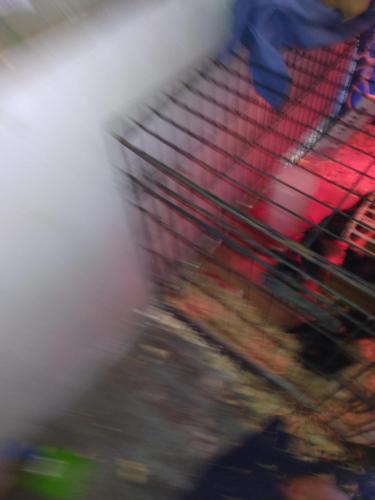 IMG_20210731_150700265