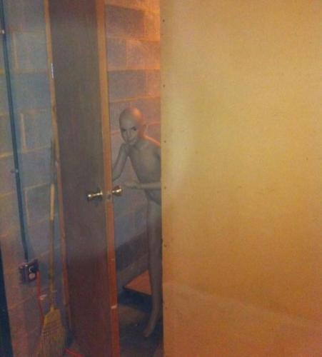 116475750_10213865852400649_3435484003044336969_n