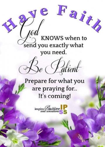 FB_IMG_1629037055385