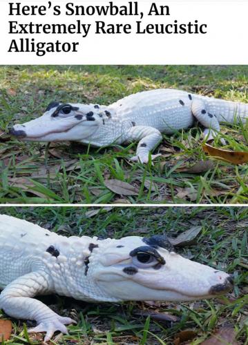 239968989_2847030742201984_6205640356180700570_n