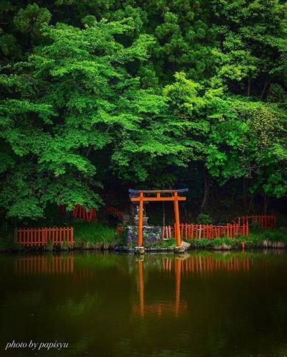 230515583_352238049951741_7017269061471353522_n