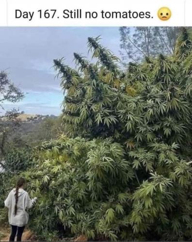 01:29:12 GMT-0700 (PDT).image