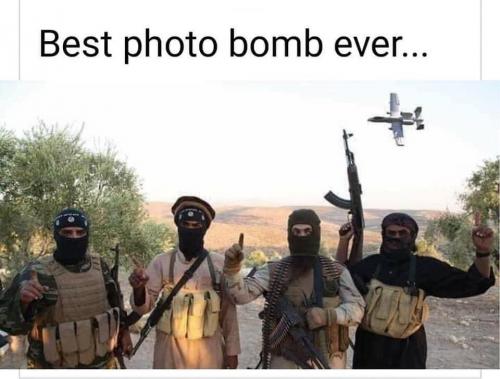 best_photo_bomb_ever