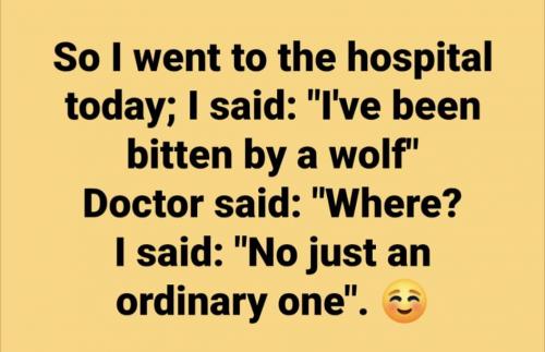 FB_IMG_1628137854714