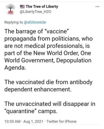 photo_2021-08-01_23-09-09