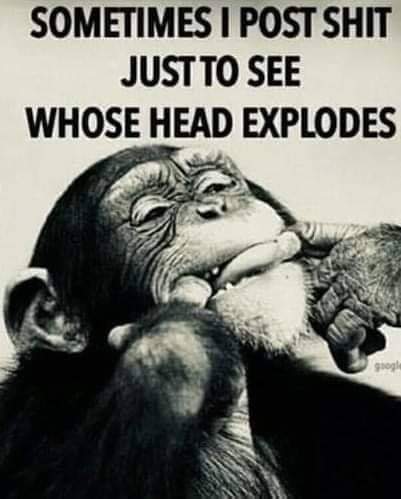 FB_IMG_1629162139443