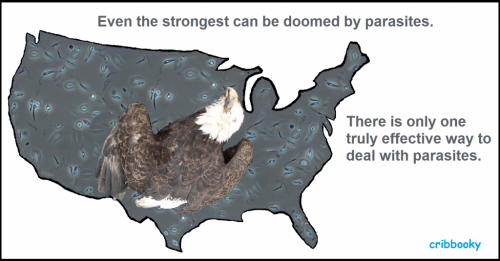 addressing_parasites