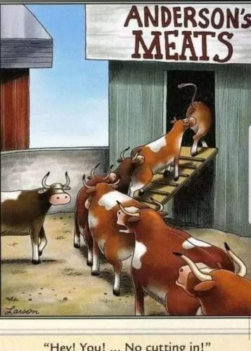 Screenshot_20210802-163637_Facebook