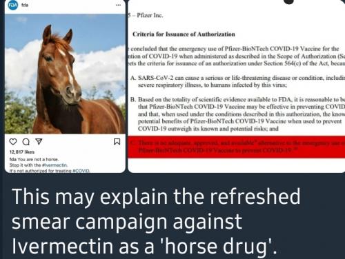 Screenshot_20210823-172153_Telegram