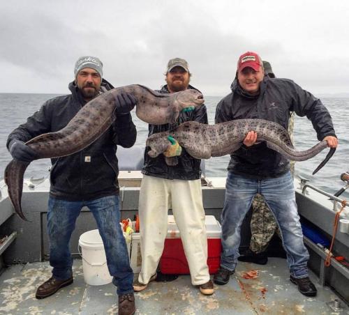 240509786_4604777129554315_6578480814351128914_n