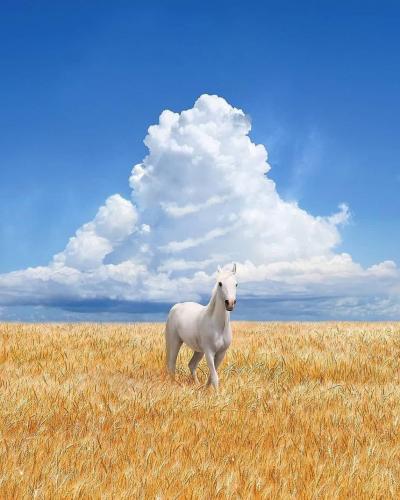 230717956_383913799778966_2514697655788409036_n