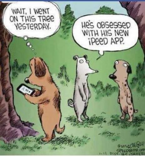 FB_IMG_1628892431175