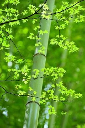 240924715_1737512193110962_5830771924860582654_n