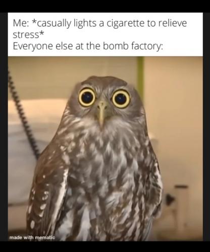 _()_02