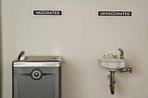 FB_IMG_1628824418344