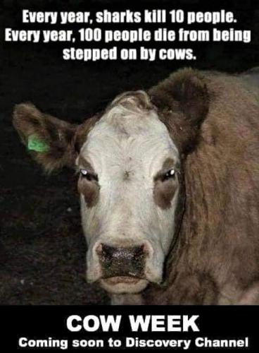 21:26:28 GMT-0500 (CDT)