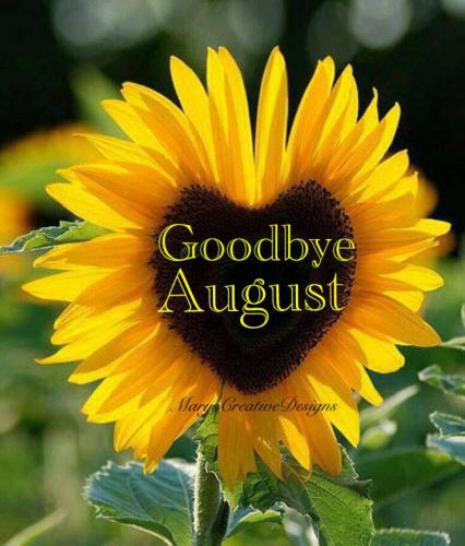 240528687_2991228614448269_2863364342969929423_n